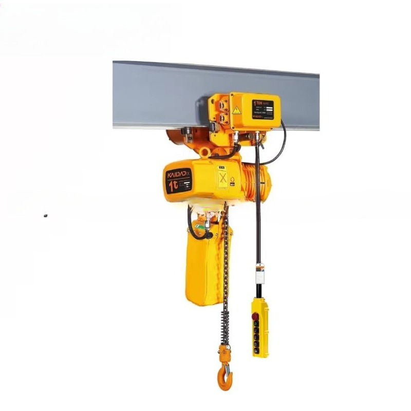Dual Speed Electric Chain Hois - Heavy Equipment Lift recension och pris